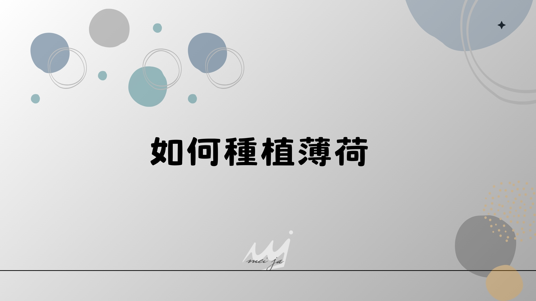如何種植薄荷